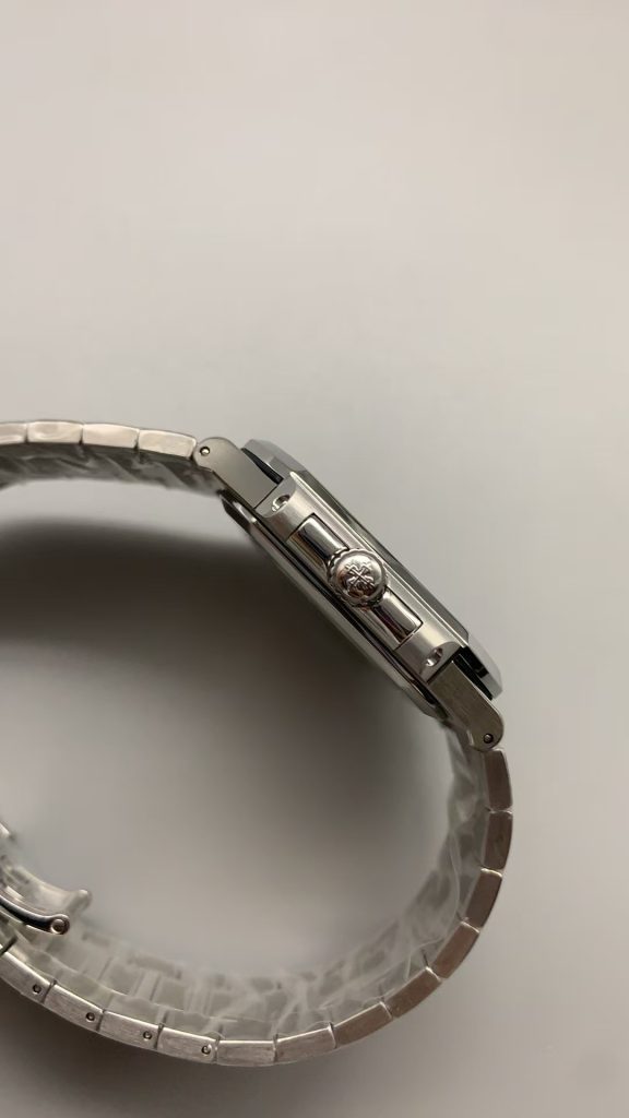 Patek Philippe Cubitus Case